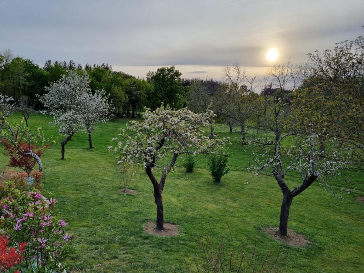 Casa Pro Pantea Hébergement de vacances *